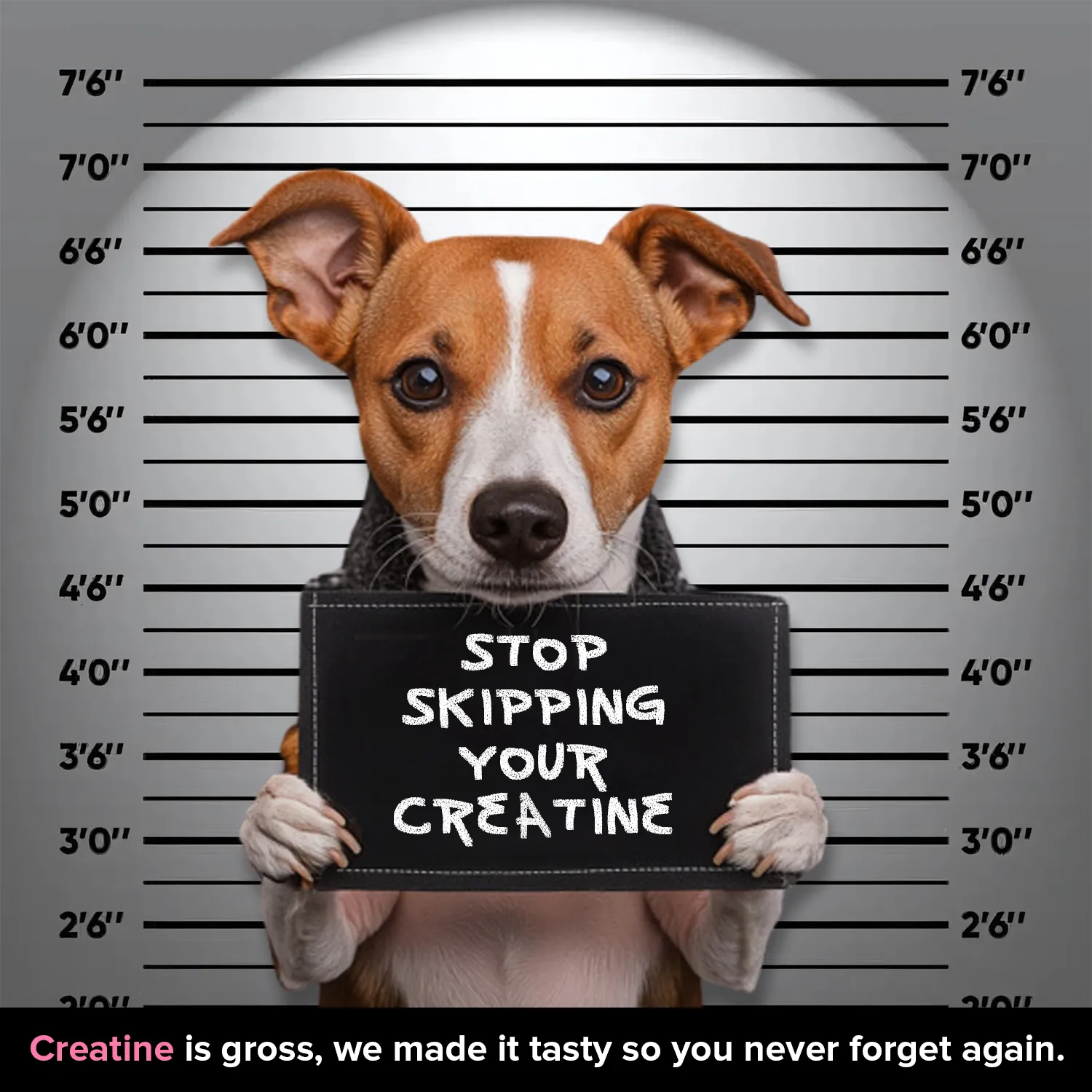 Funny Reminder Ad – High Converting Static Ad Funny Reminder Ad – High Converting Static Ad