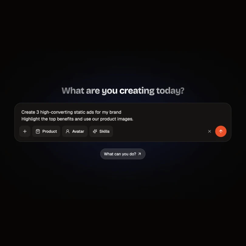 Type your brief
